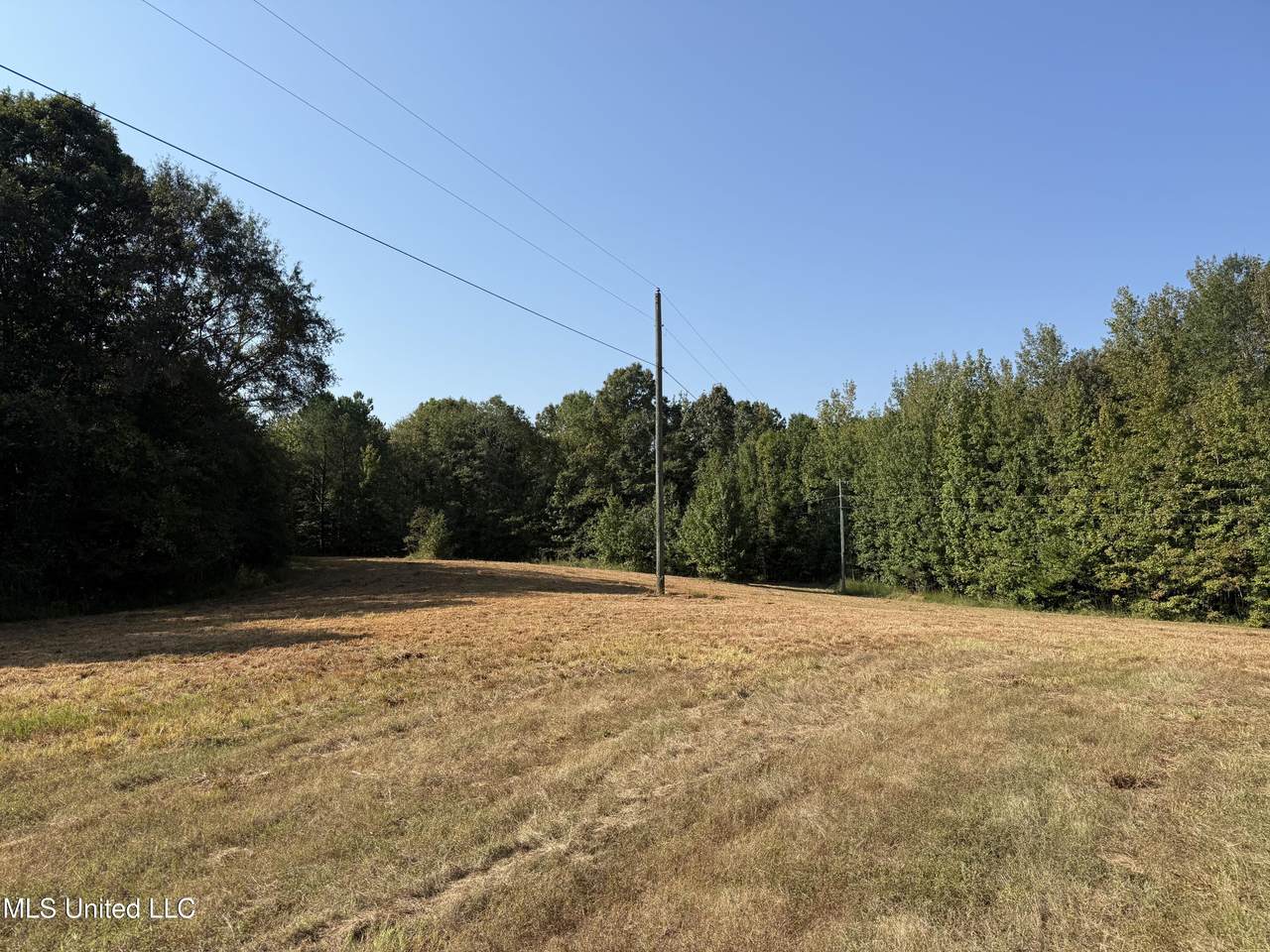  Race Track Road - Photo 1