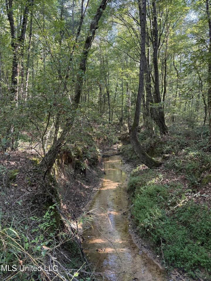 https://bt-photos.global.ssl.fastly.net/united/1280_boomver_2_4103822-2.jpg