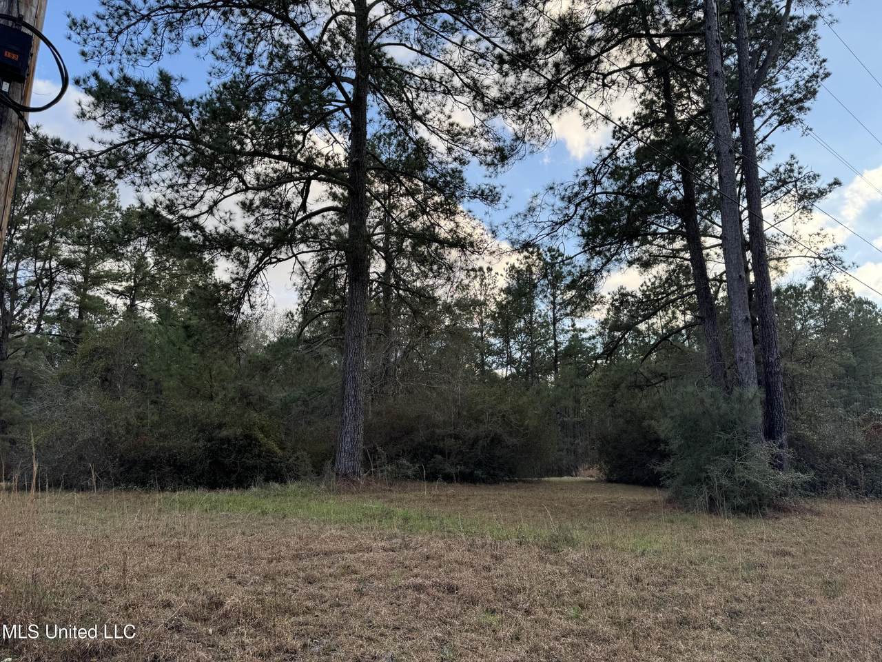 334 Baughman Rd - Photo 1