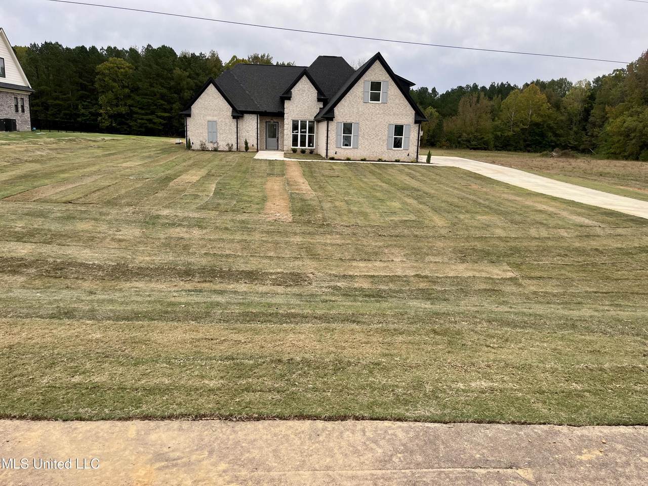 5064 Sophia Lane - Photo 1