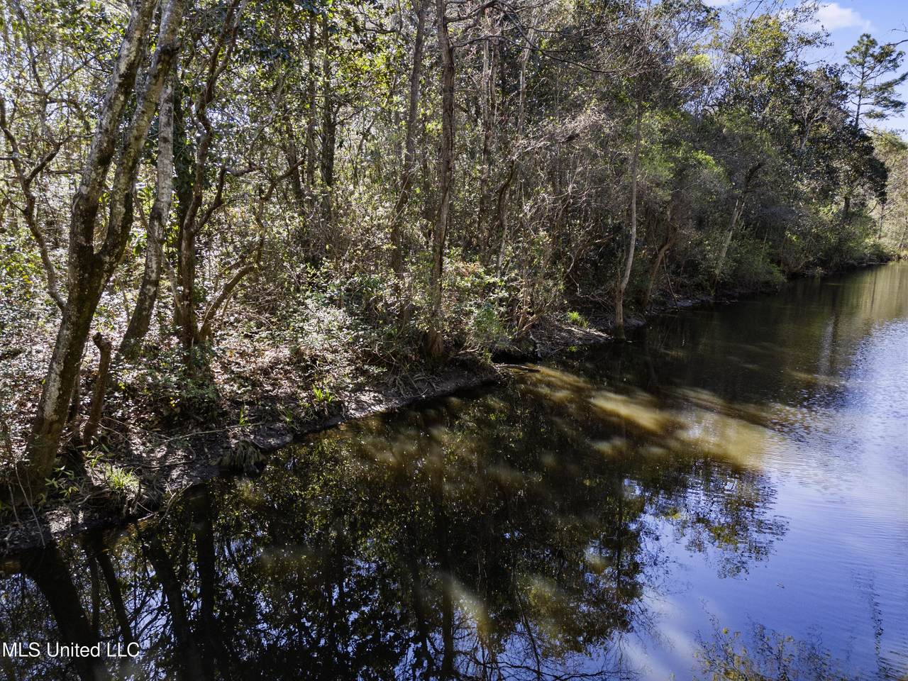 Lot 212 Longwood Drive - Photo 1