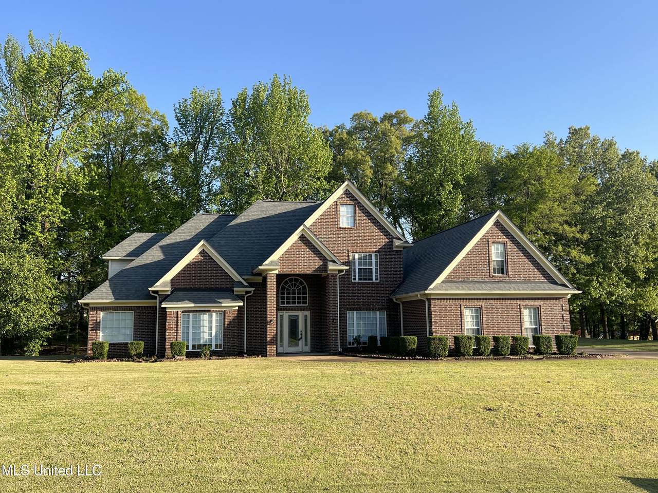 3423 Woodland Trace Street - Photo 1