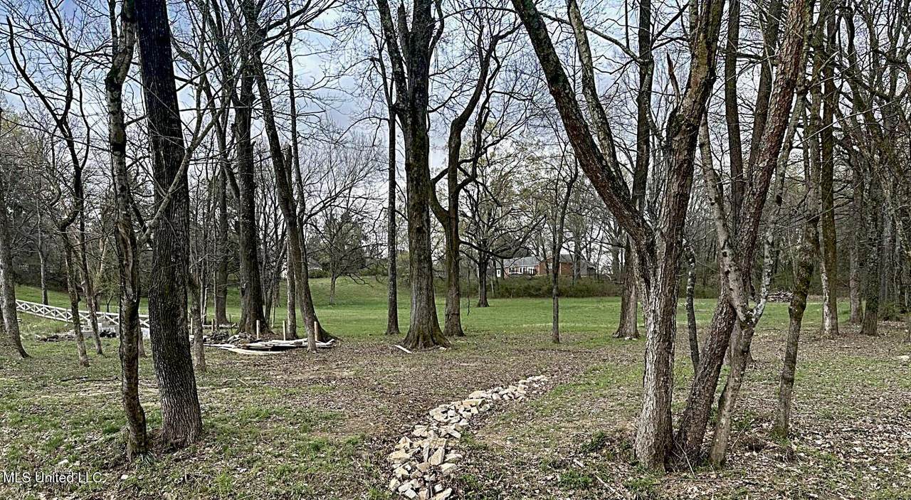 0 Timber Lane - Photo 1
