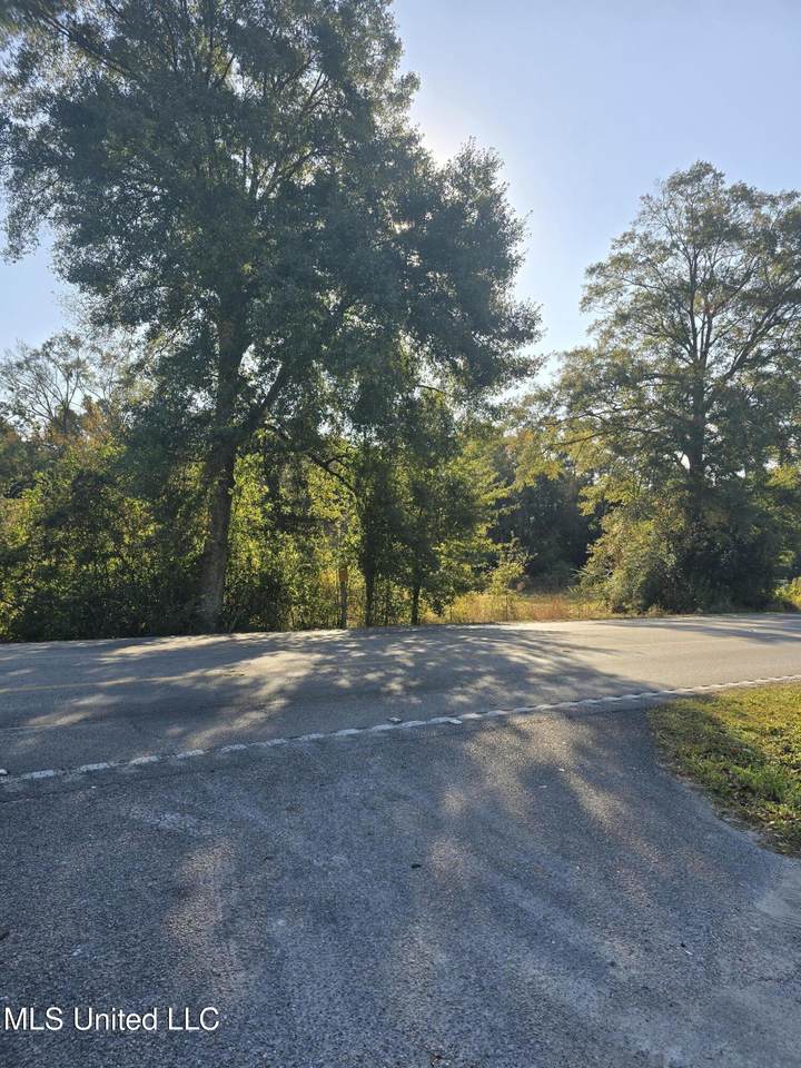  Ms-613 Highway - Photo 1