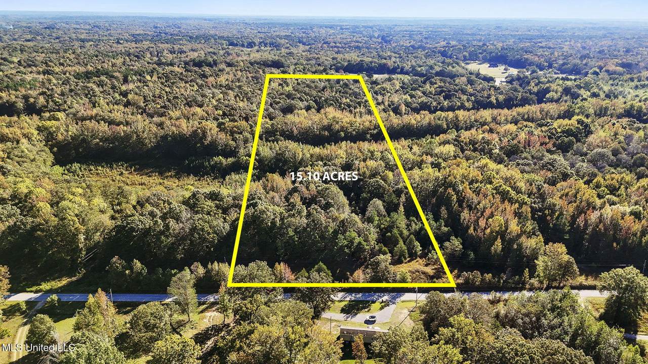  Tate Marshall Road - Photo 1