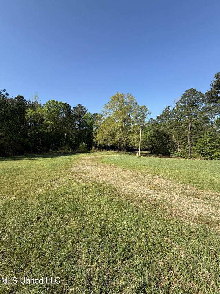 3489 White Apple Road - Photo 1