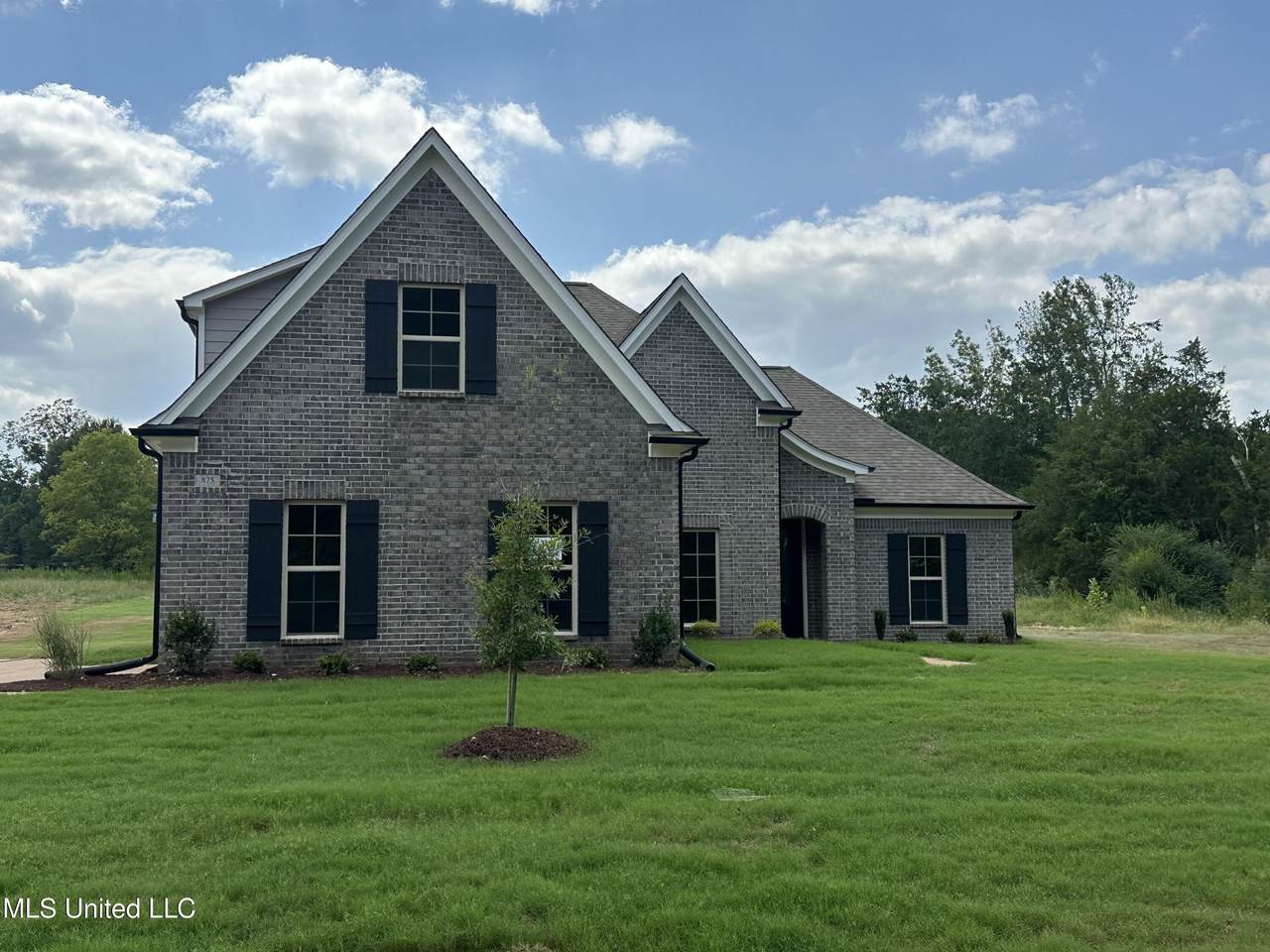 875 Lucas Lane - Photo 1