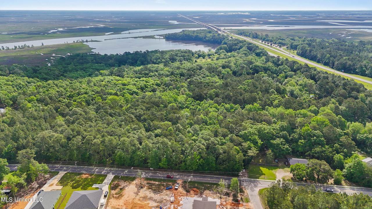  Martin Bluff Road - Photo 1
