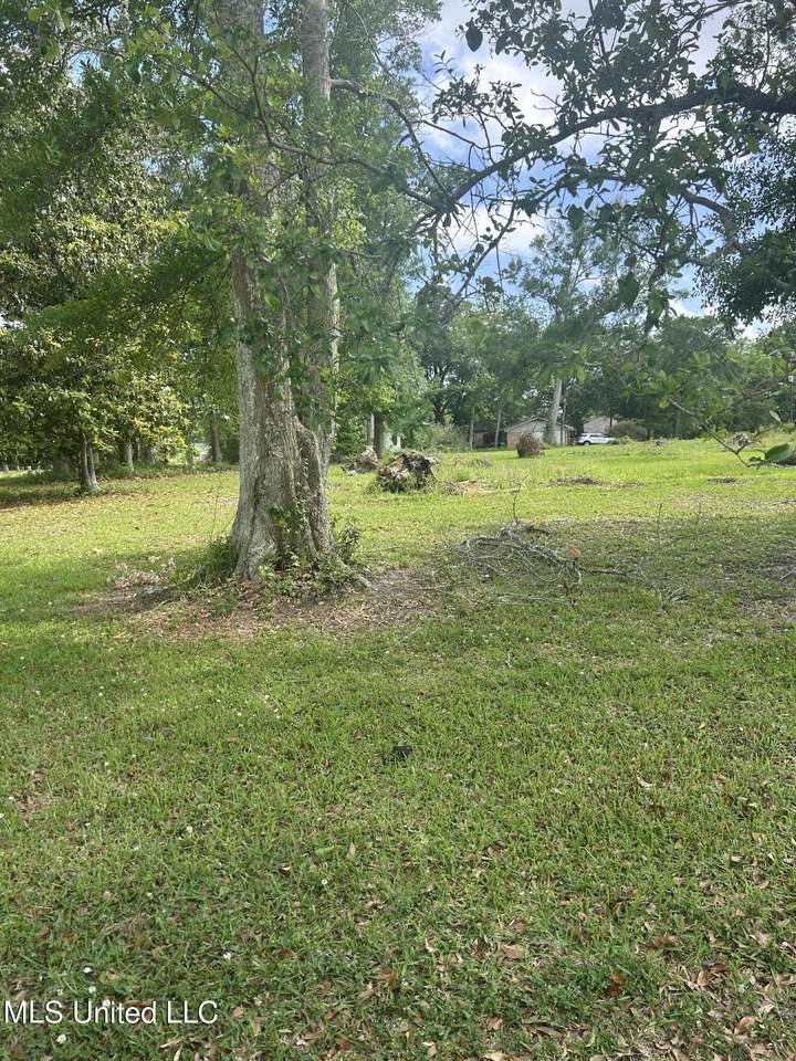  Magnolia Street - Photo 1