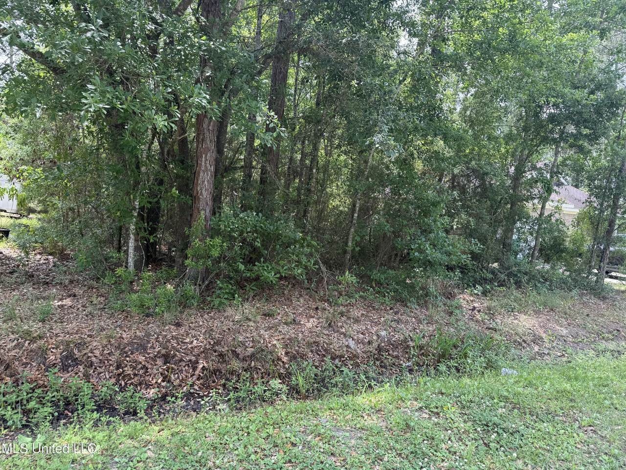  Jackson Street - Photo 1