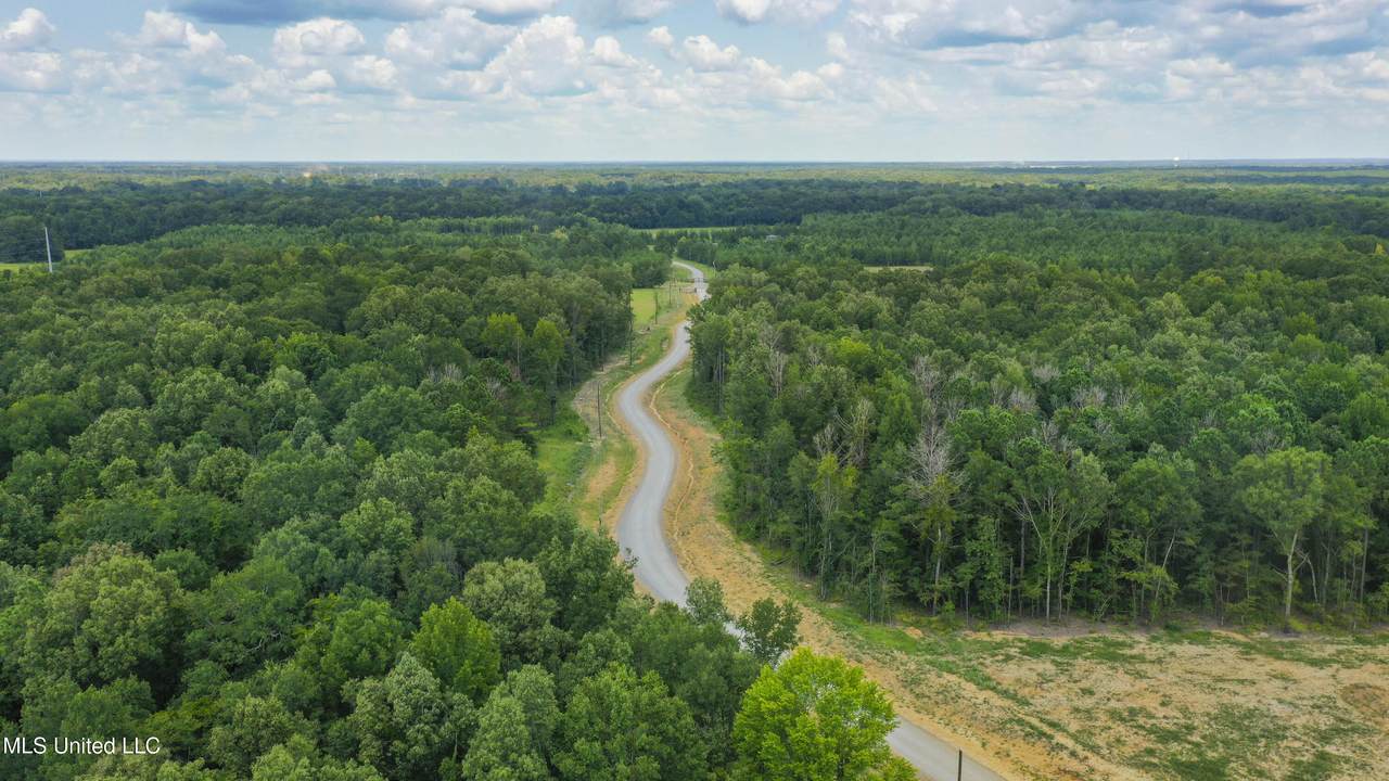  Stout Meadows Lane - Photo 1