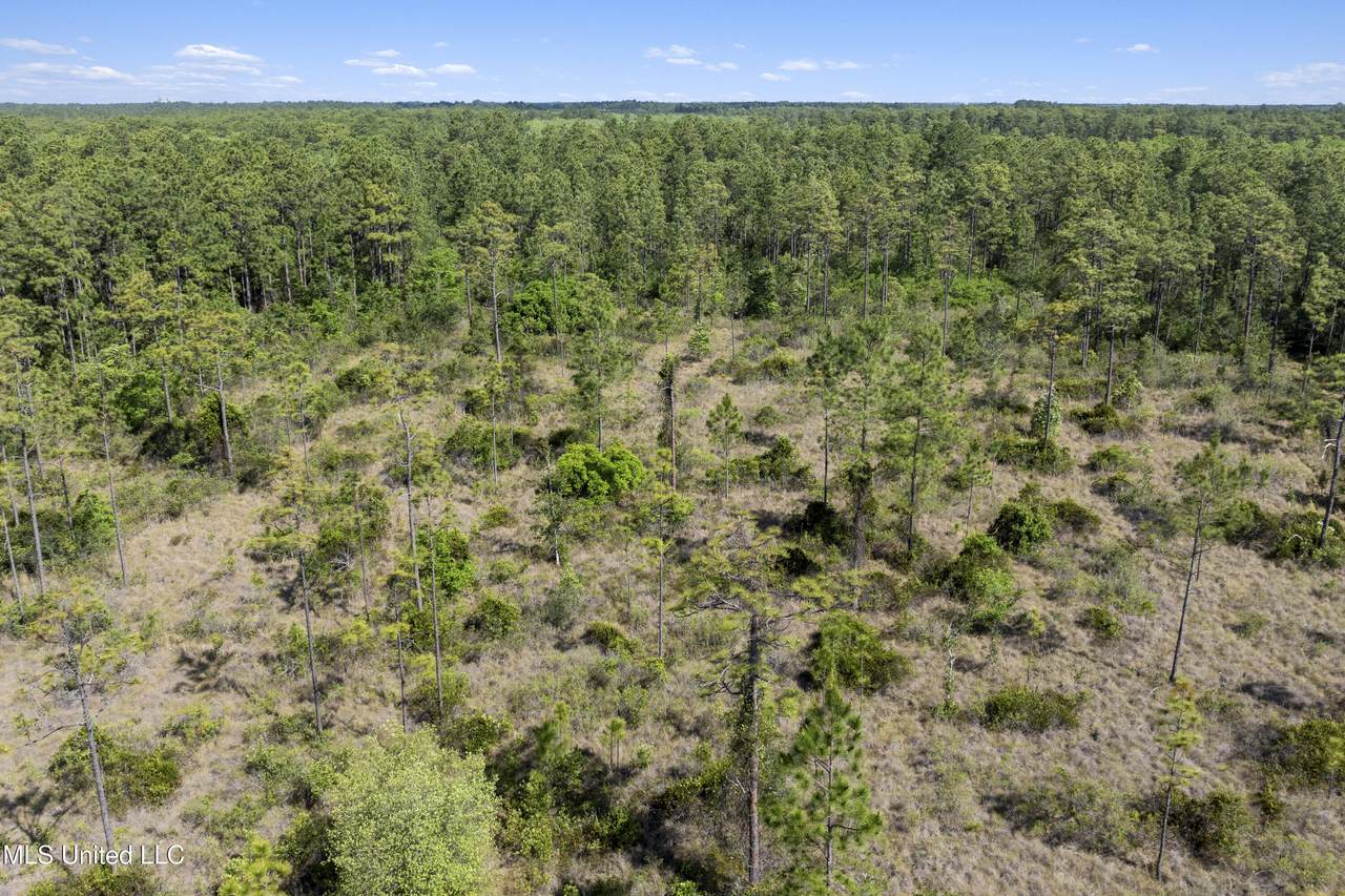  Shiprock Street - Photo 1