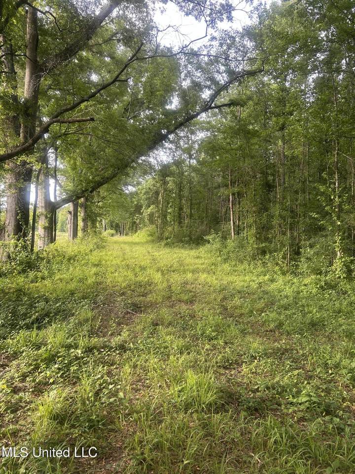 00 Old Hwy 80 - Photo 1