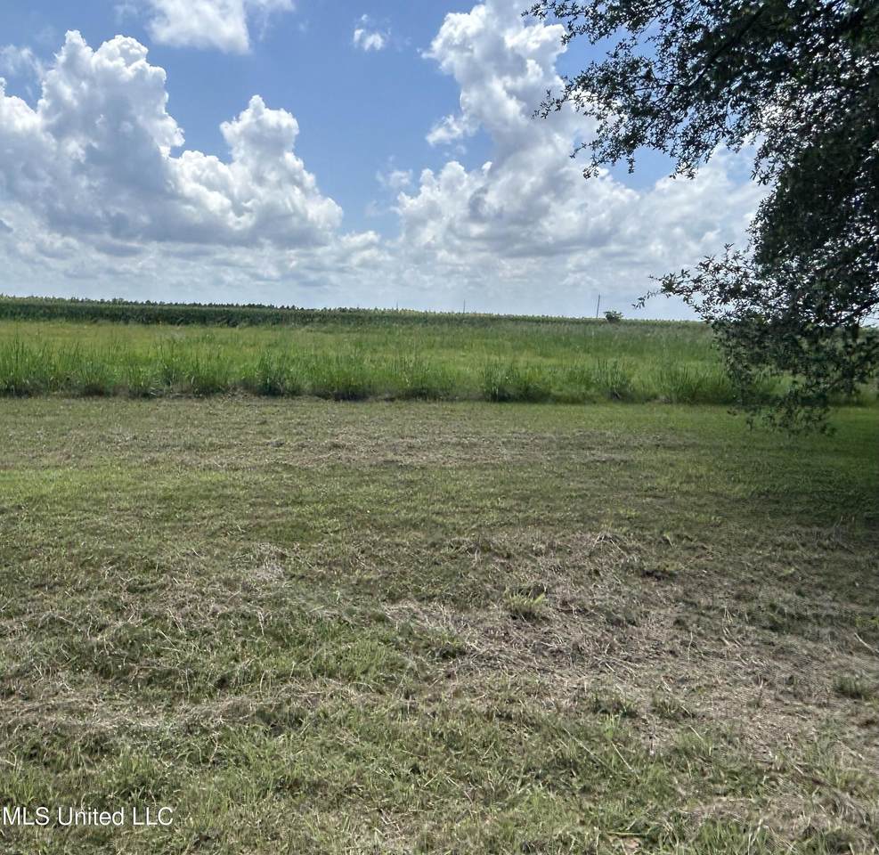 00 Hwy 569 - Photo 1