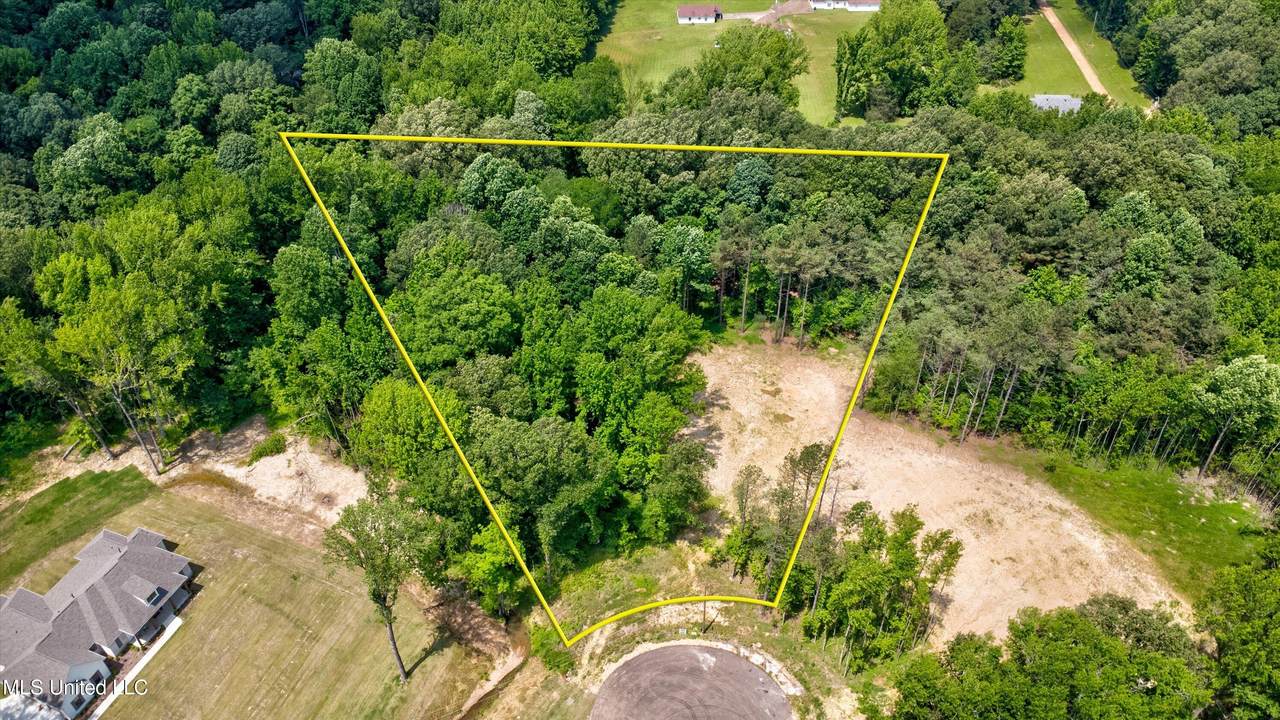 1561 Kimber Cove - Photo 1