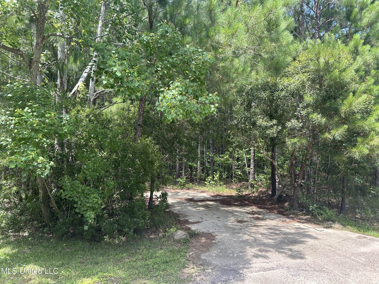 10205 Quail Run - Photo 1