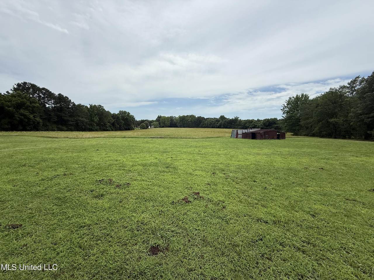 10719 Highway 178 - Photo 1