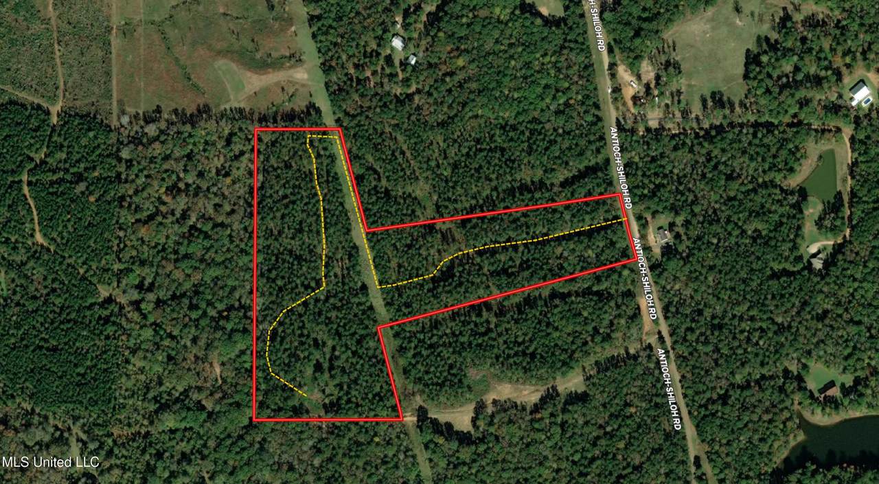  Antioch Shiloh Road - Photo 1