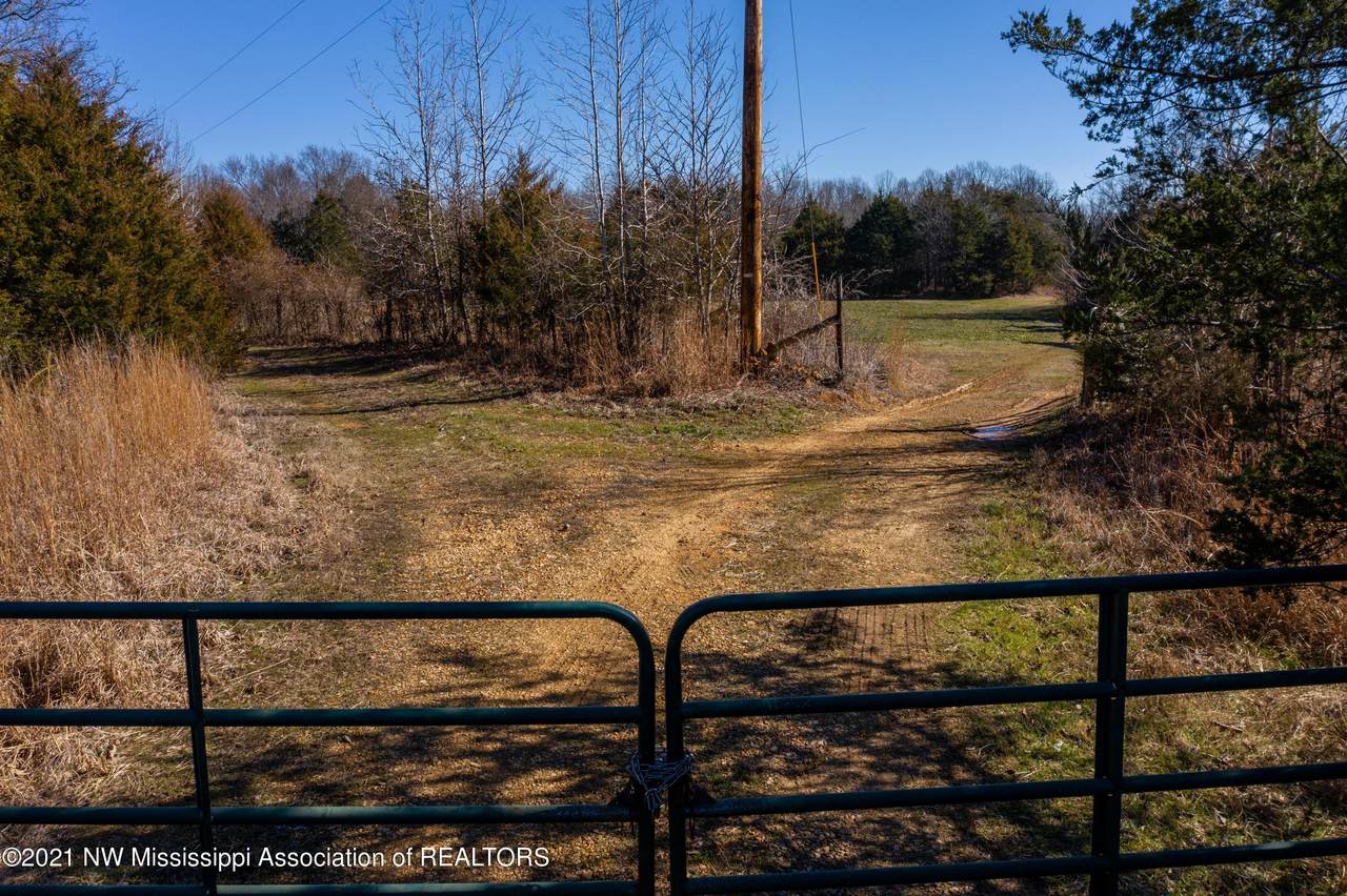 705 Wall Hill Farms - Photo 1