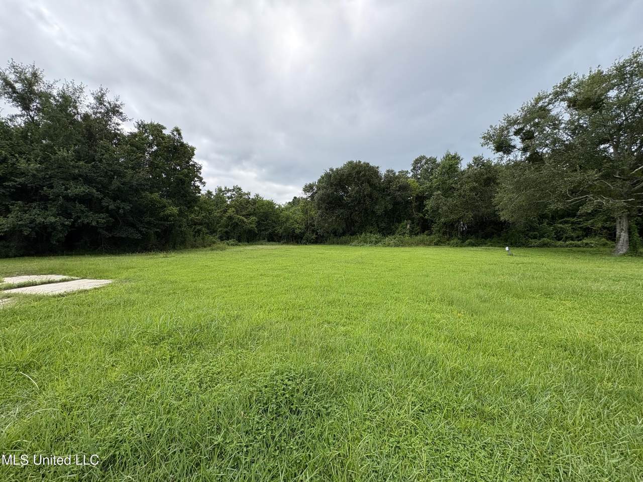 345 Hunter Avenue - Photo 1