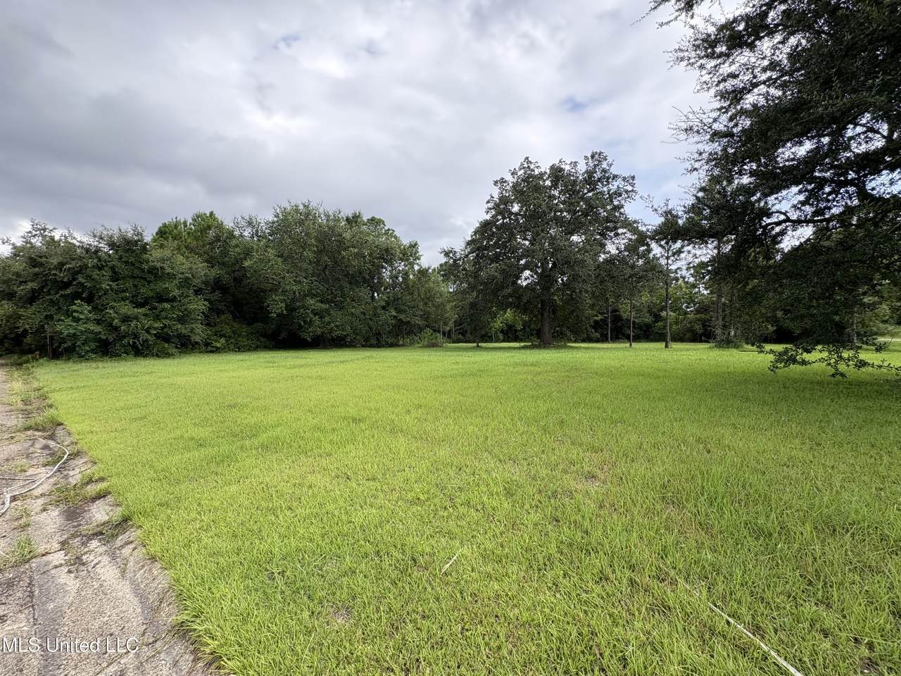 504 Cedar Avenue - Photo 1