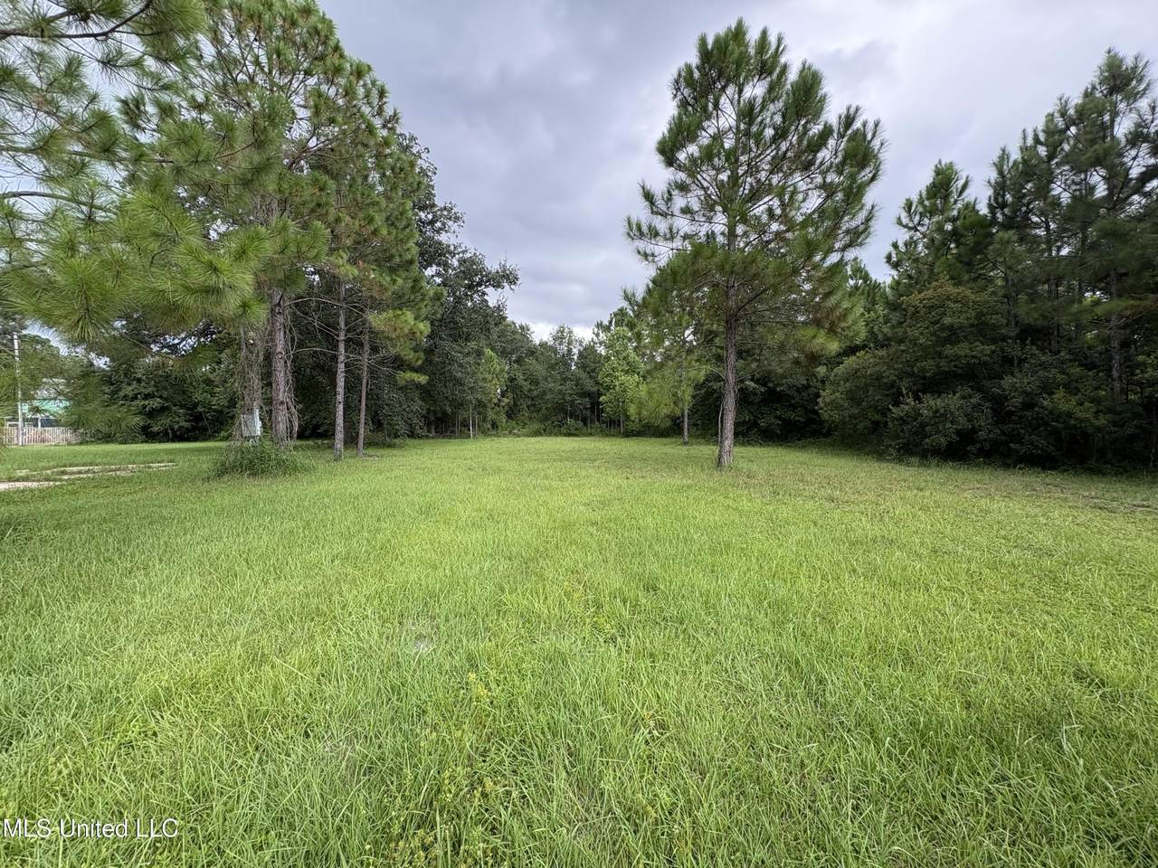 560 Cedar Avenue - Photo 1