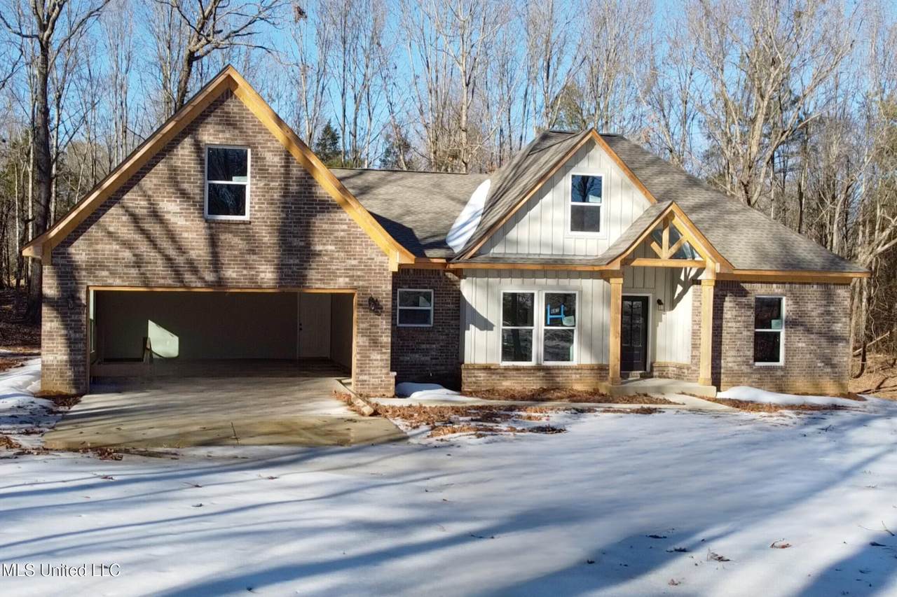 667 Pigeon Roost Road - Photo 1