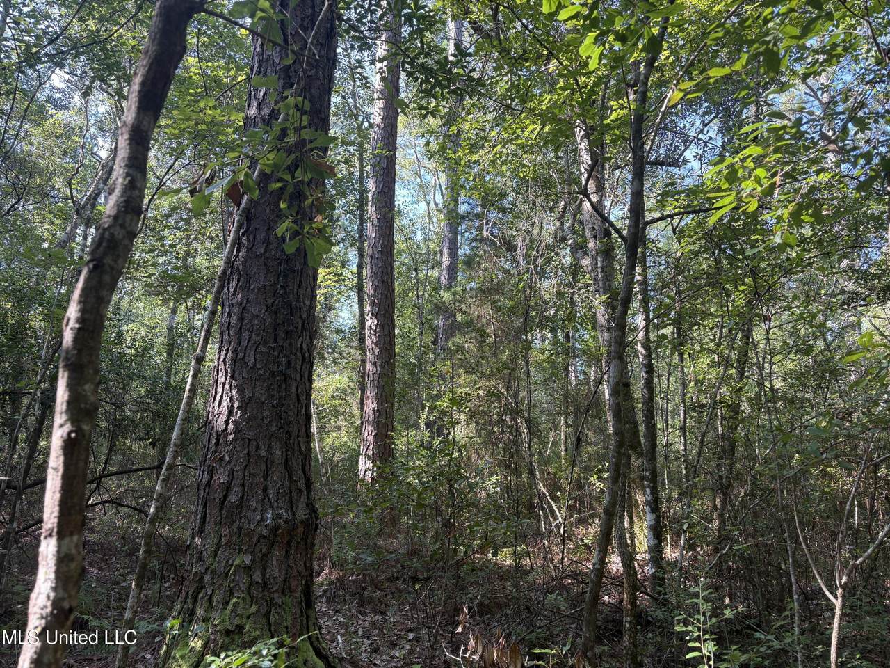  Washam Road - Photo 1