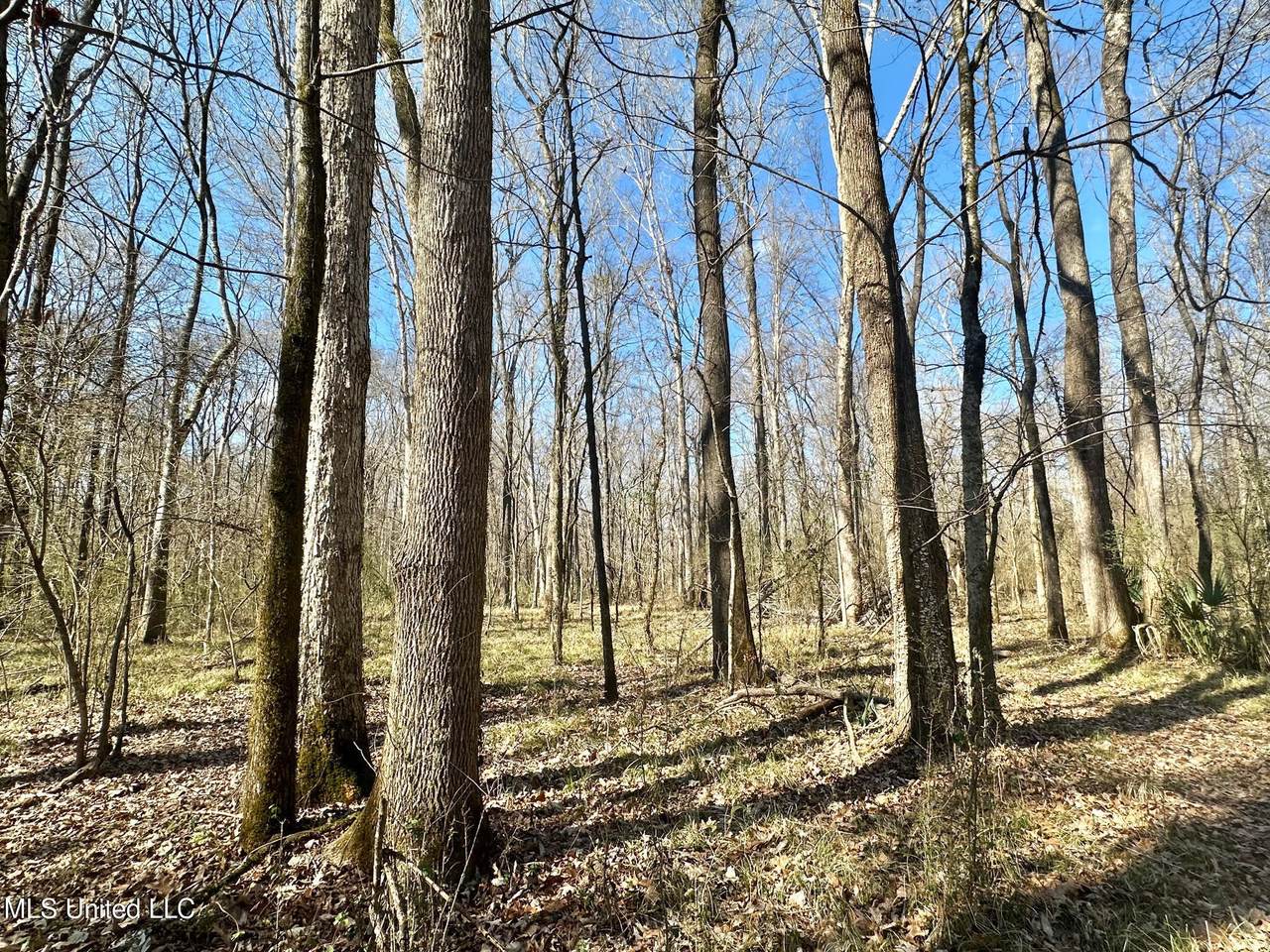 2 Champion Hill Road - Photo 1