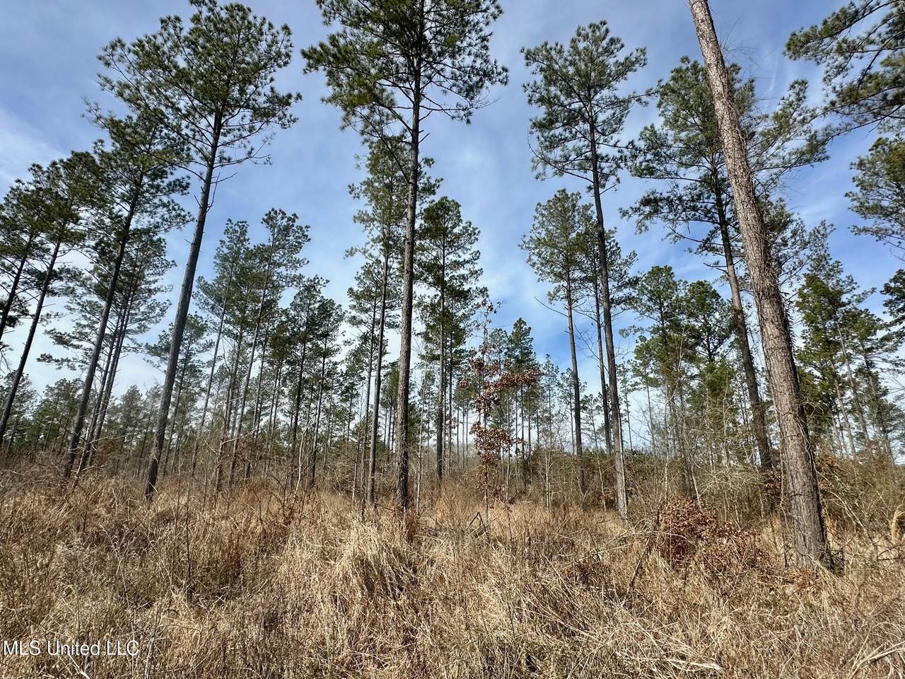 4 Dry Grove Road - Photo 1