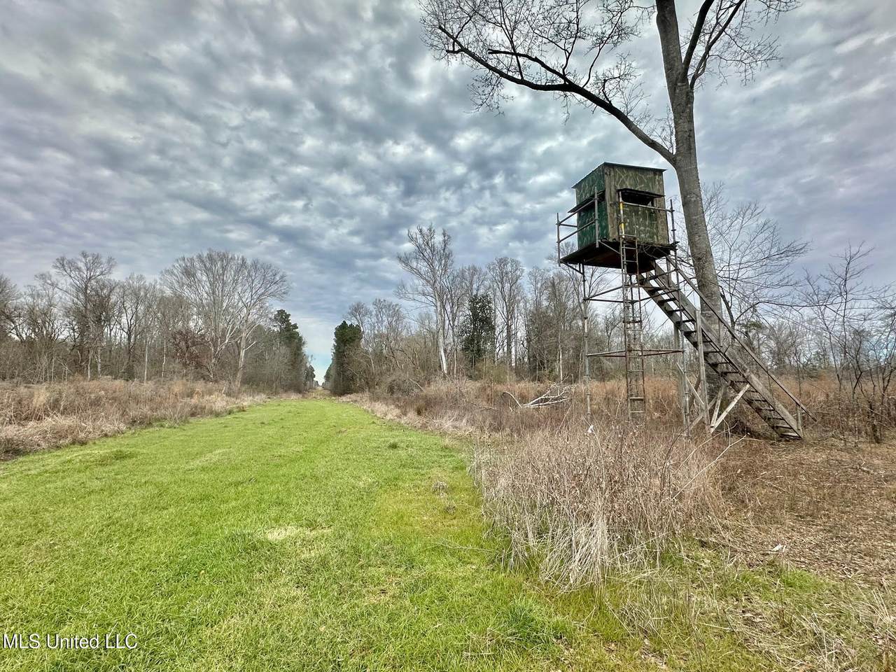 5 Dry Grove Road - Photo 1