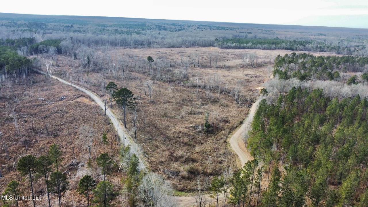 3 Prentiss Crump Road - Photo 1