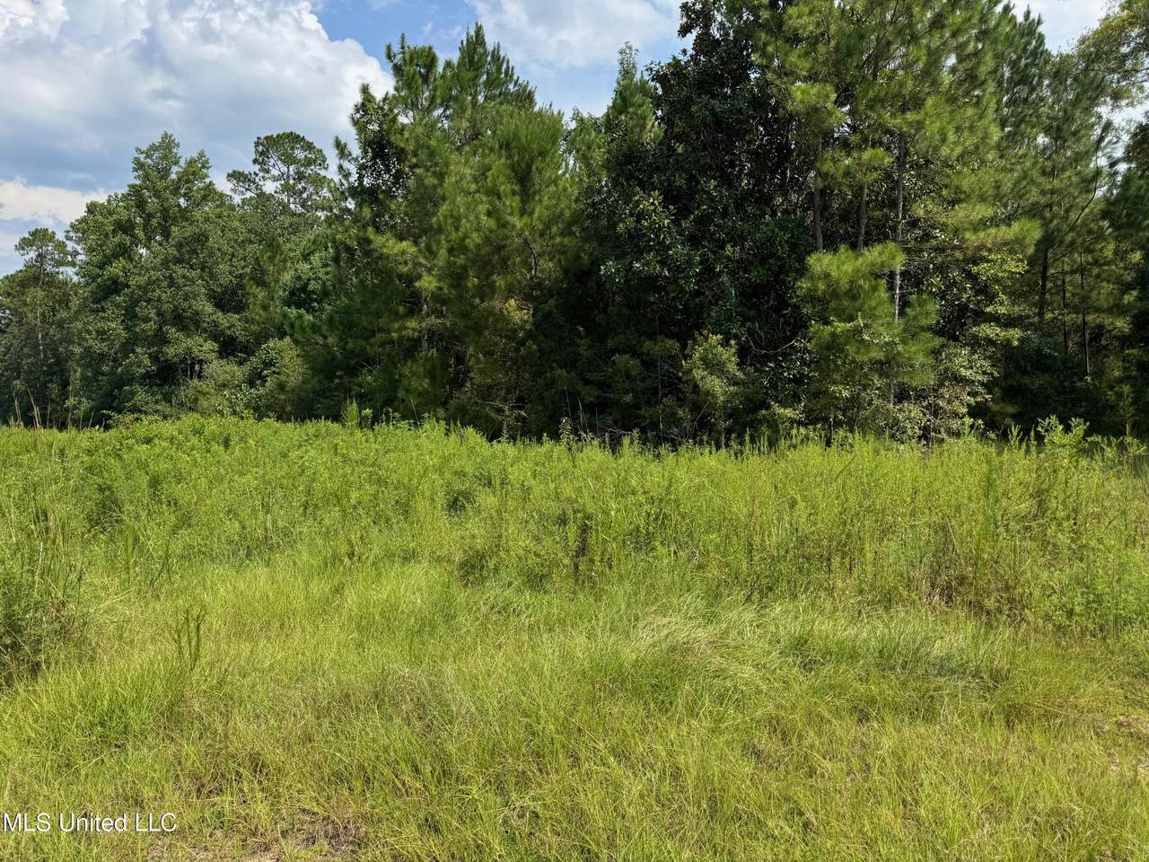 Nhn Darby Lane - Photo 1