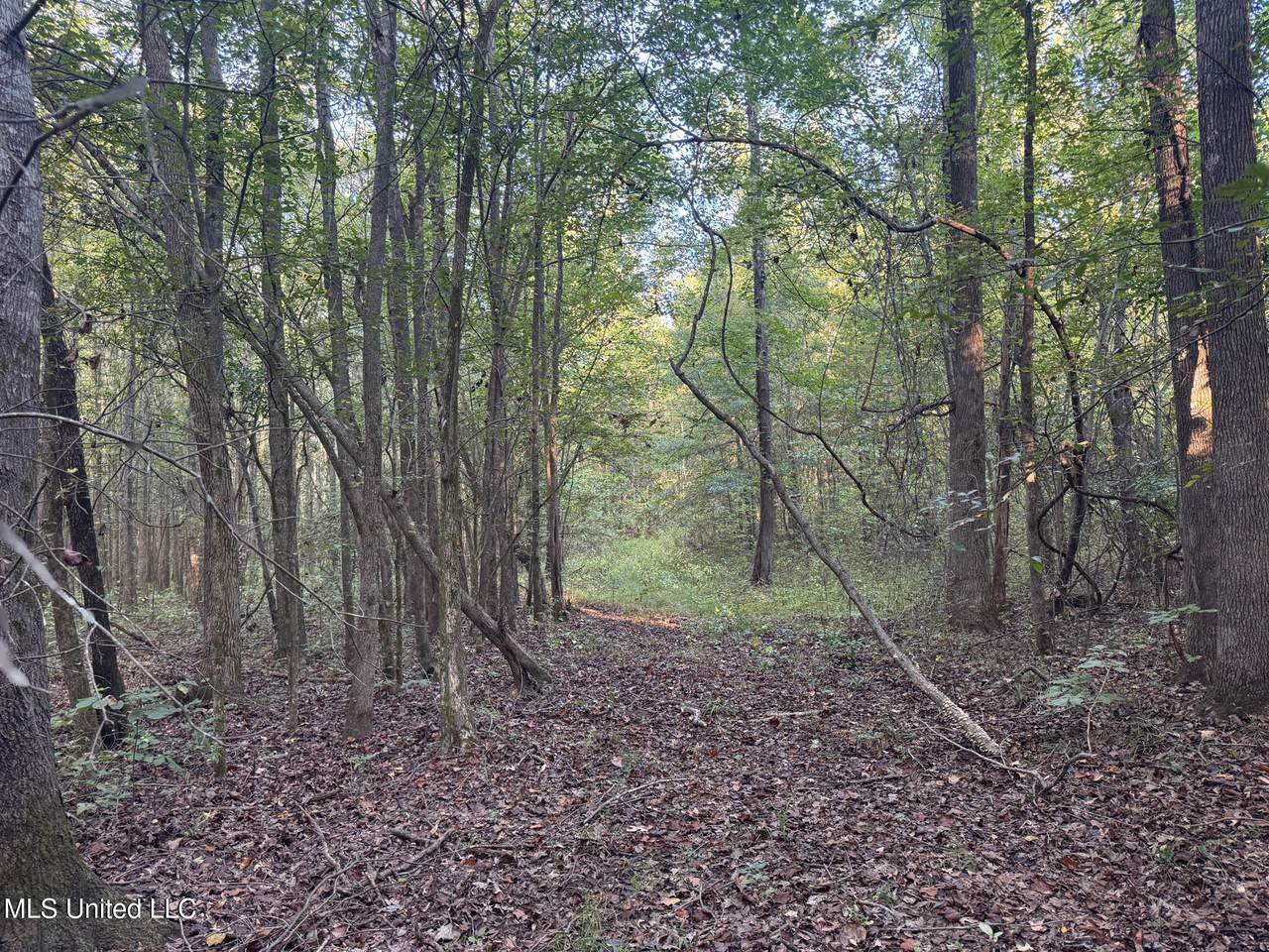 https://bt-photos.global.ssl.fastly.net/united/1280_boomver_2_4127012-2.jpg