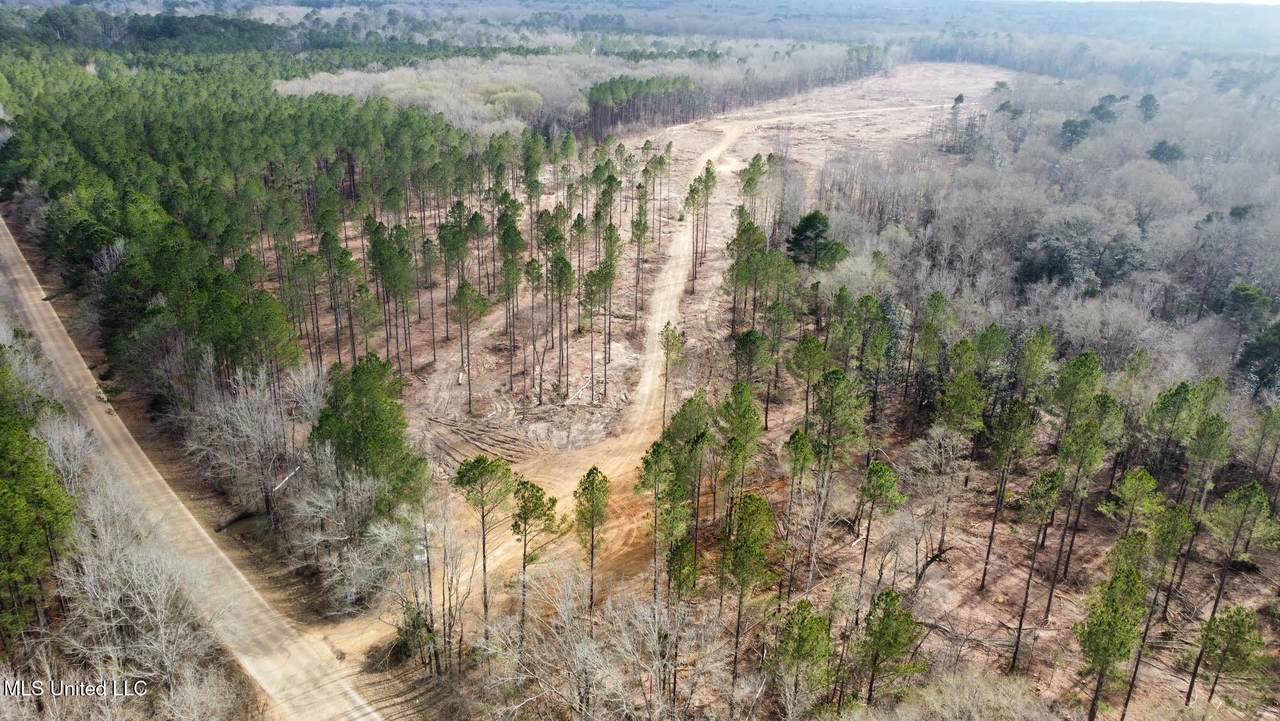 0 Highway 469 - Photo 1