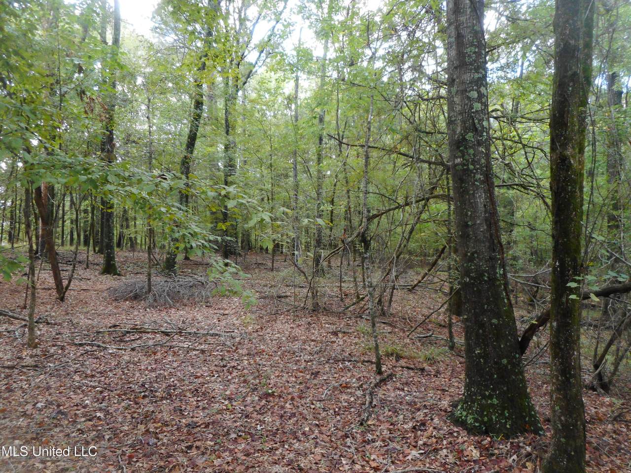 https://bt-photos.global.ssl.fastly.net/united/1280_boomver_2_4128203-2.jpg
