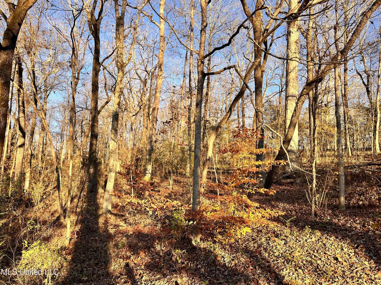 0 Snow Lake Drive - Photo 1