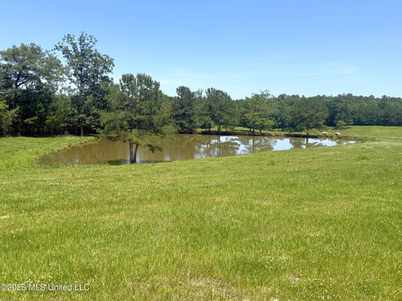  Gibson Rd And Fortenberry Circle - Photo 1