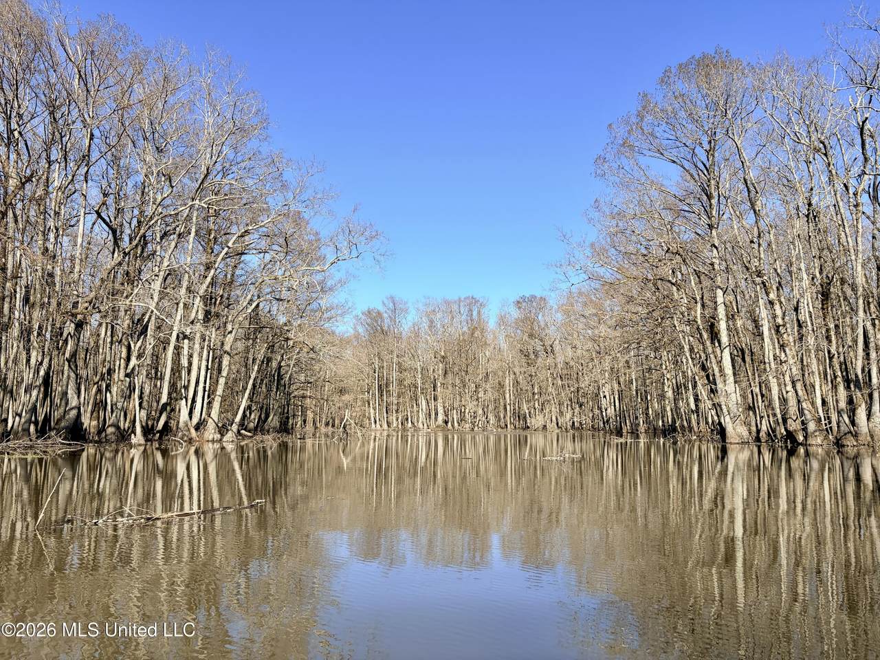  County Rd 176 - Photo 1