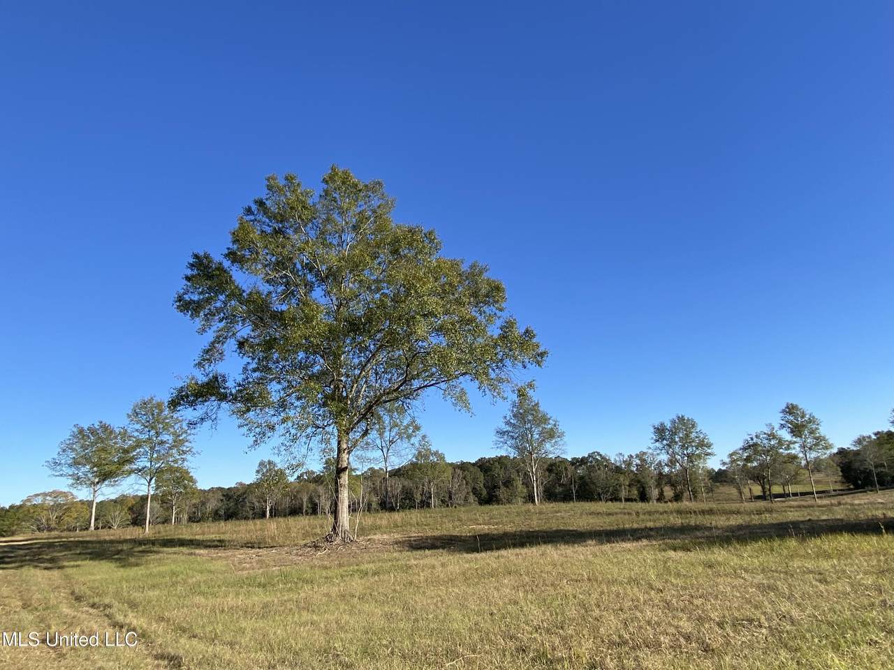 https://bt-photos.global.ssl.fastly.net/united/1280_boomver_2_4129938-2.jpg