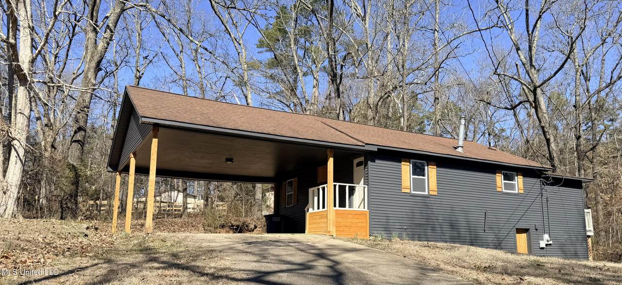 1500 Snow Lake Drive - Photo 1