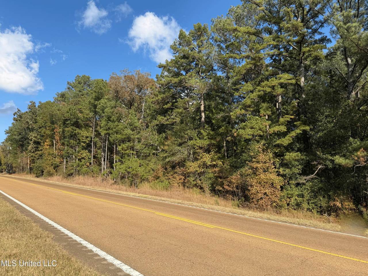  Highway 35 N - Photo 1