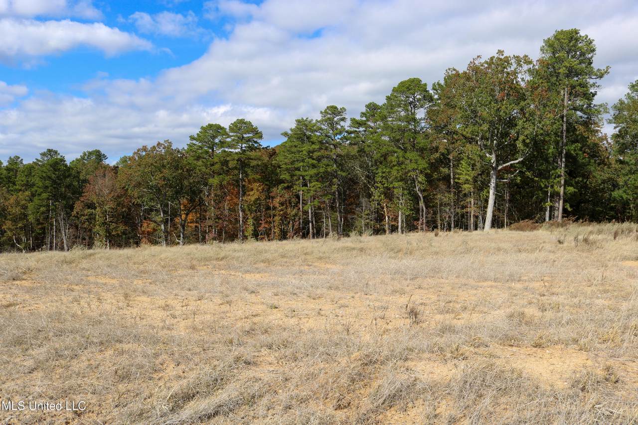 Tract 1 Hugh White State Park Road - Photo 1