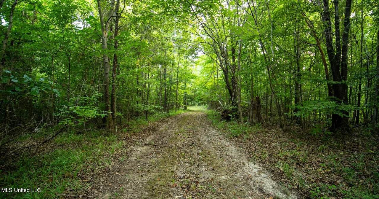  Holly Grove-Meeks Road - Photo 1