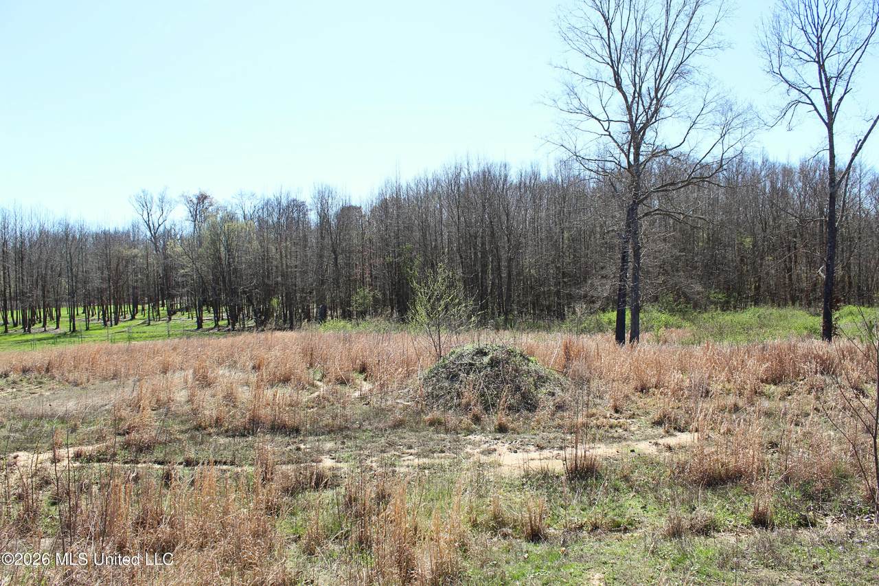 13135 Pebble View Drive - Photo 1