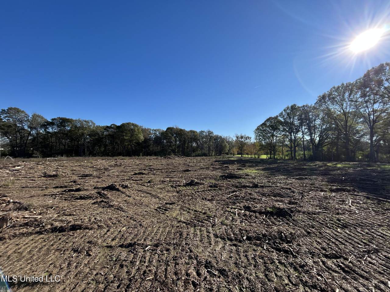  Warren Cook Road - Photo 1
