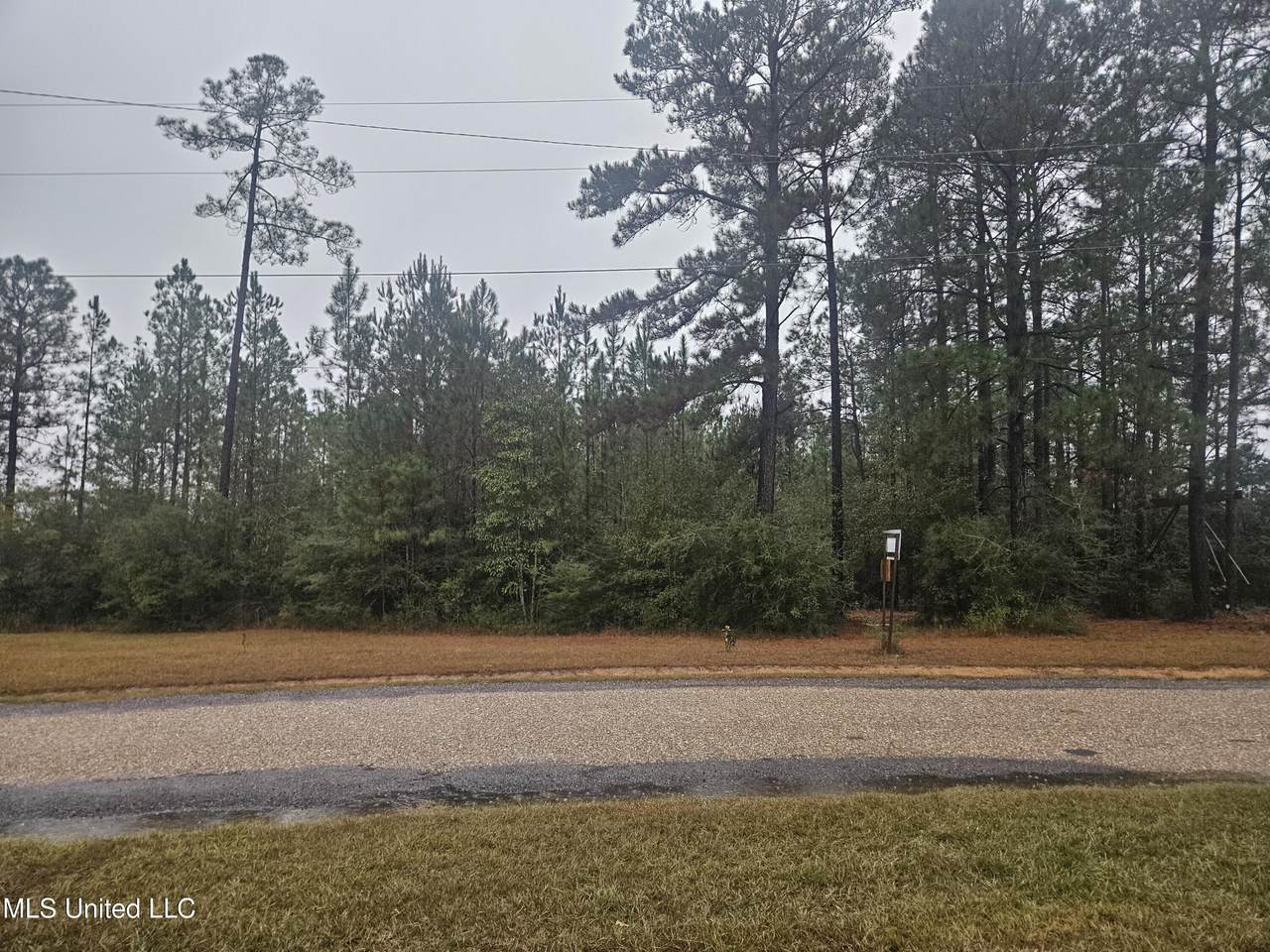  Lake Cypress Drive - Photo 1