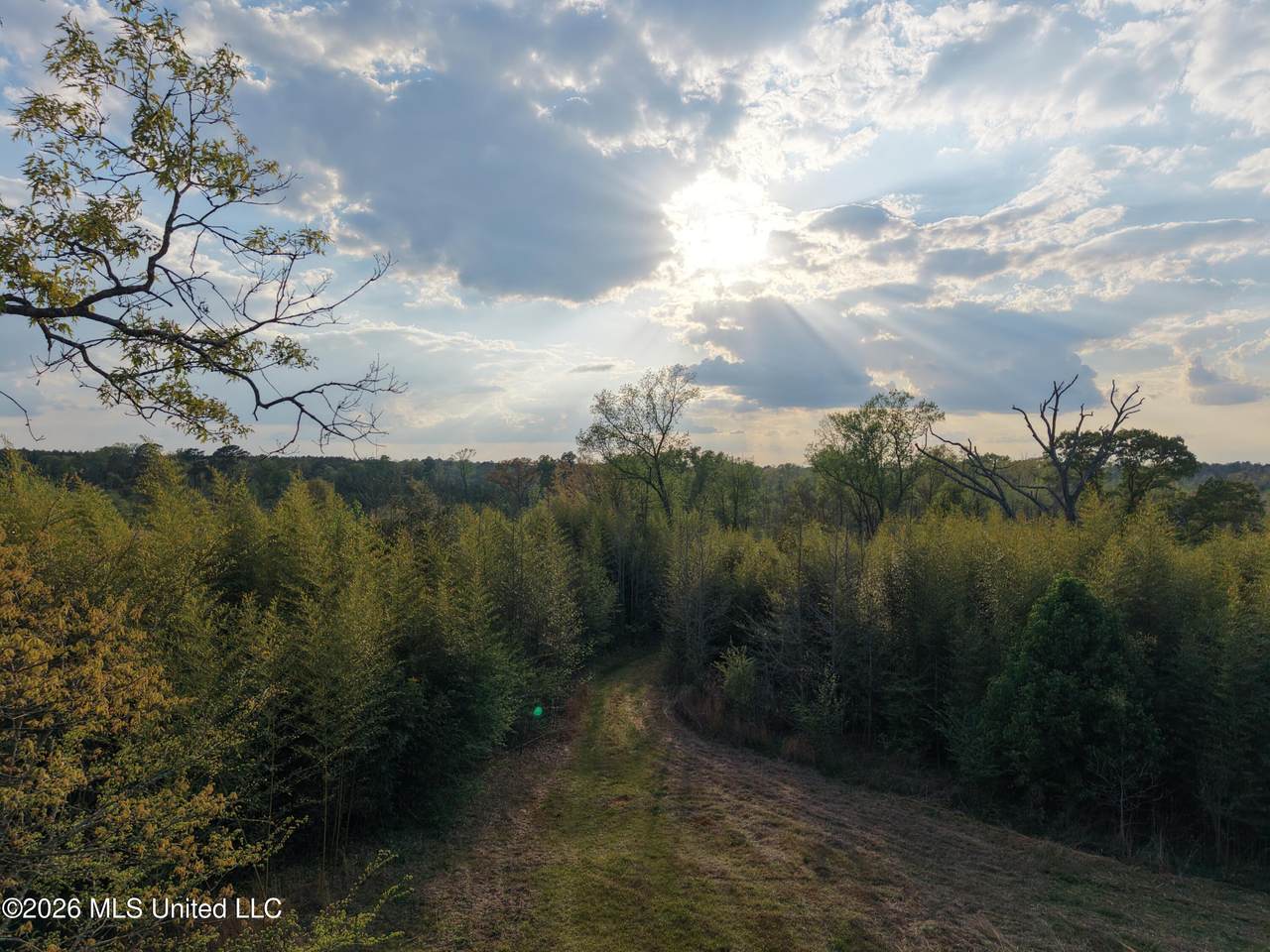  Roger Reid Road - Photo 1