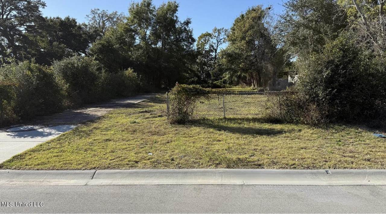 161 Pine Street - Photo 1