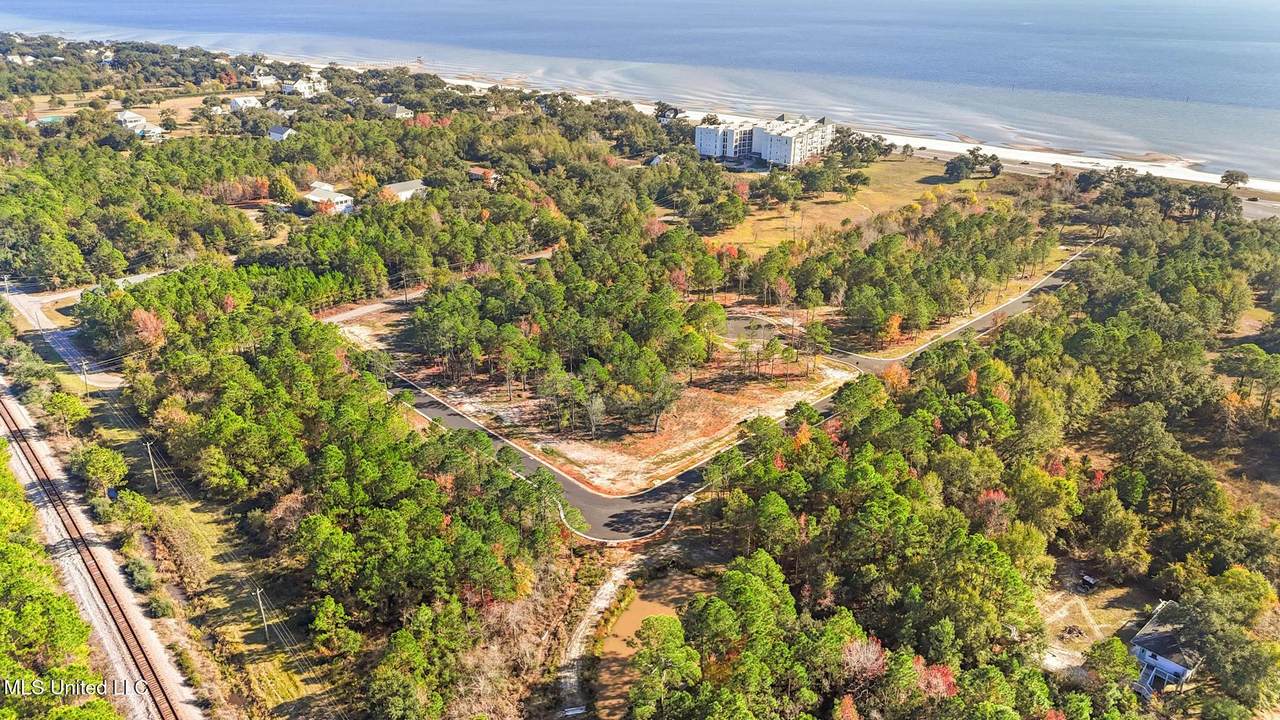 111 Live Oak Cove - Photo 1